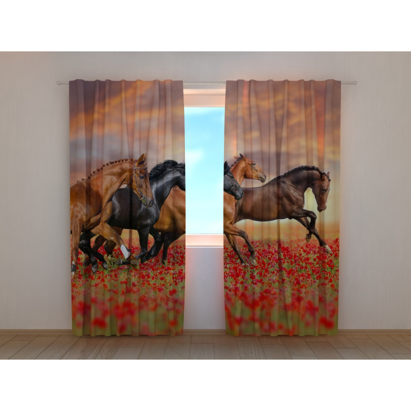 0,00 € Tent op maat - met galopperende paarden