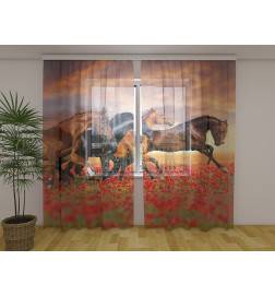 Cort personalizat - cu cai in galop