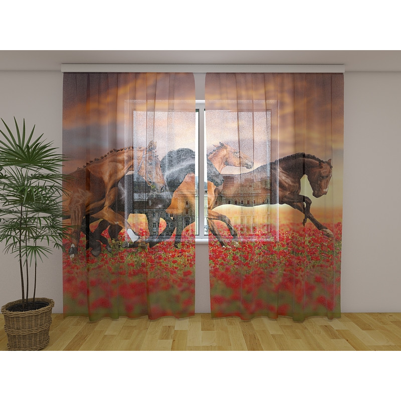 0,00 € Tent op maat - met galopperende paarden
