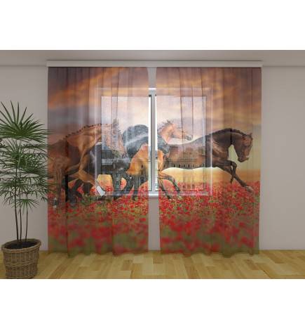 Cort personalizat - cu cai in galop