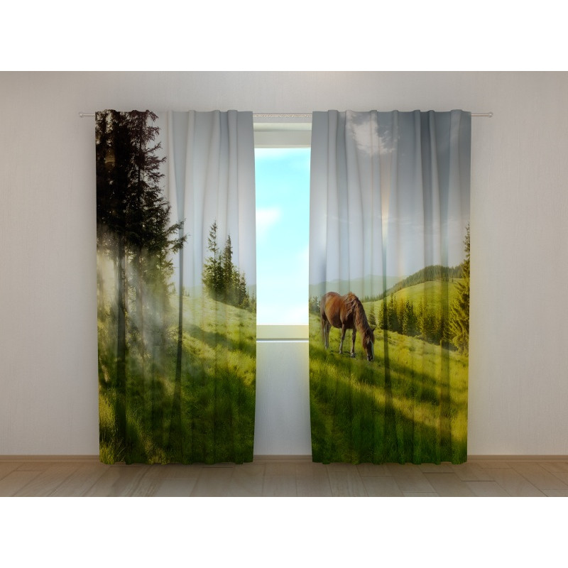 1,00 €Tenda personalizzata - con un cavallo che fa colazione