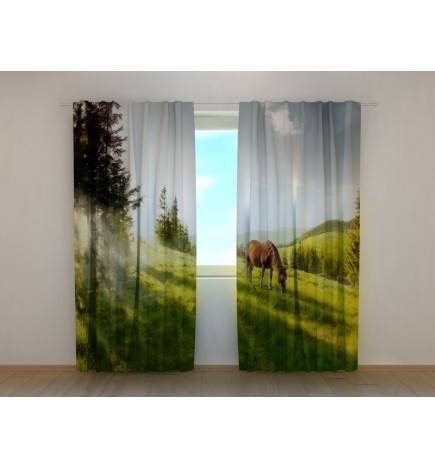 0,00 € Carpa personalizada: con un caballo desayunando