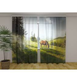 Tenda personalizzata - con un cavallo che fa colazione