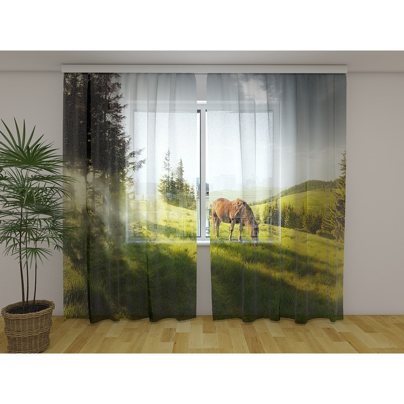 0,00 € Custom Teltta - jossa hevonen syö aamiaista