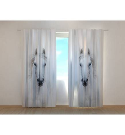 Tenda personalizzata - con due cavalli arabi
