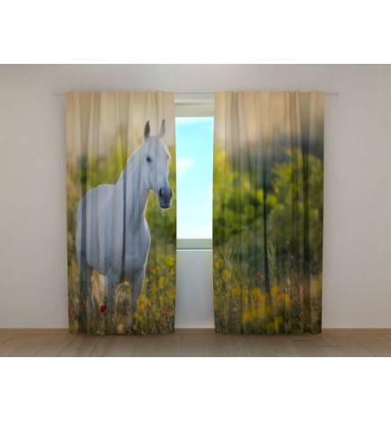 0,00 €Cortina personalizada - apresentando um vaidoso cavalo branco