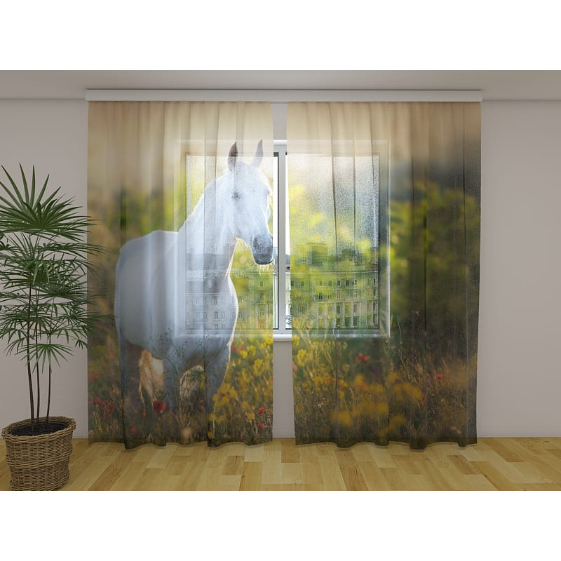 0,00 € Custom curtain - featuring a vain white horse 0,00 € Custom curtain - featuring a vain white horse
