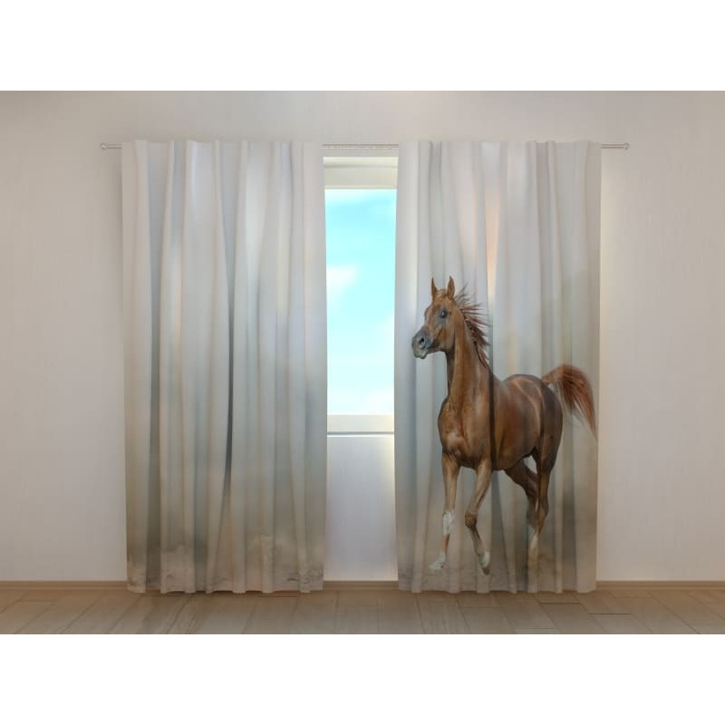 0,00 € Tent op maat - met een dravend paard 0,00 € Tent op maat - met een dravend paard