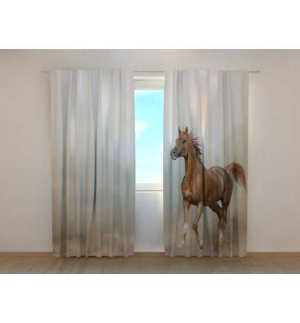 0,00 € Cort personalizat - cu un cal trap