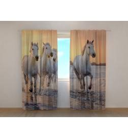 0,00 € Maßgeschneidertes Zelt – mit Pferden auf der Promenade