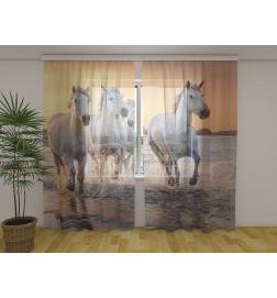 Cort personalizat - cu cai pe promenada