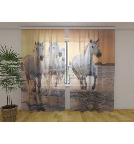 Cort personalizat - cu cai pe promenada