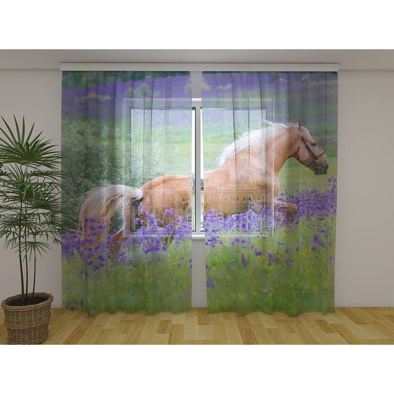 0,00 € Carpa personalizada - caballo en un campo florido