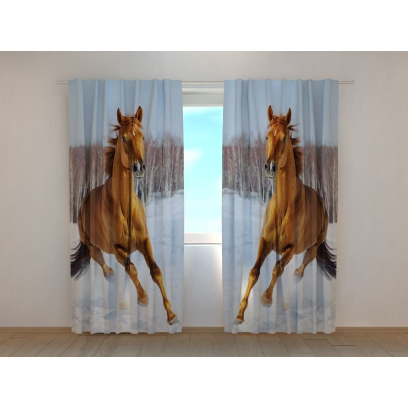 0,00 € Carpa personalizada - con dos caballos marrones