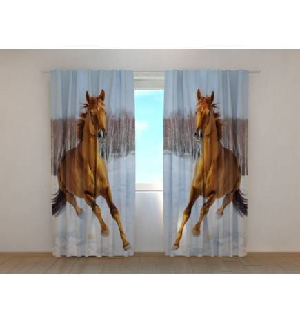 0,00 € Custom tent - with two brown horses