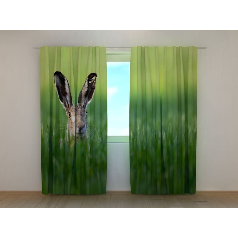 0,00 € Tent op maat - met een konijn in het veld