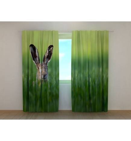 0,00 € Cort personalizat - cu un iepure pe câmp