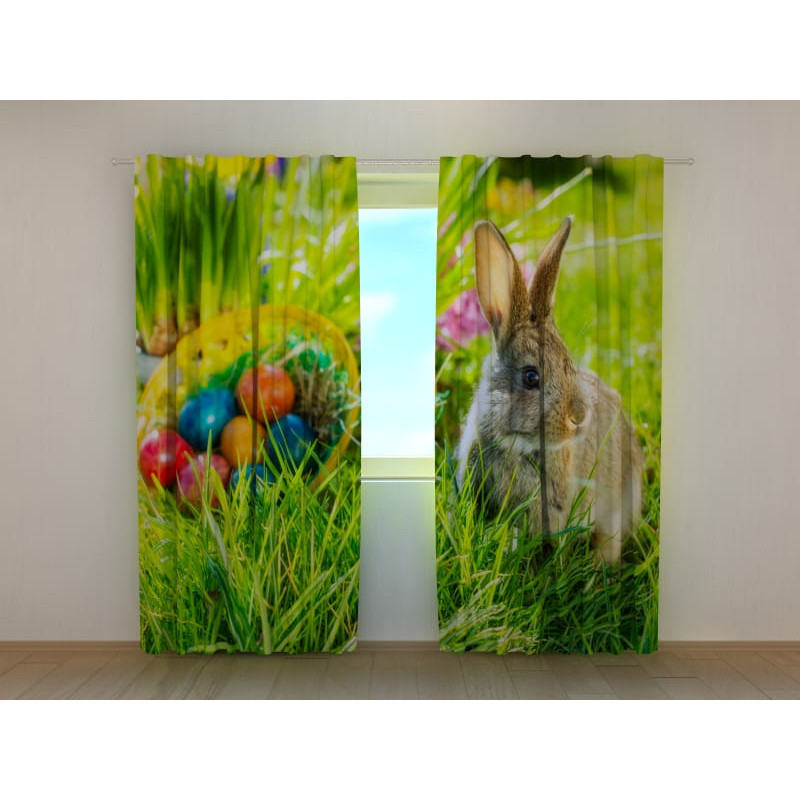 0,00 € Carpa personalizada - conejito y huevos de colores