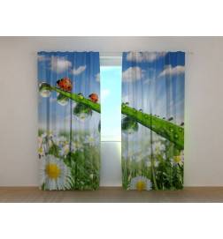 0,00 € Personalized curtain - with ladybugs and flowers