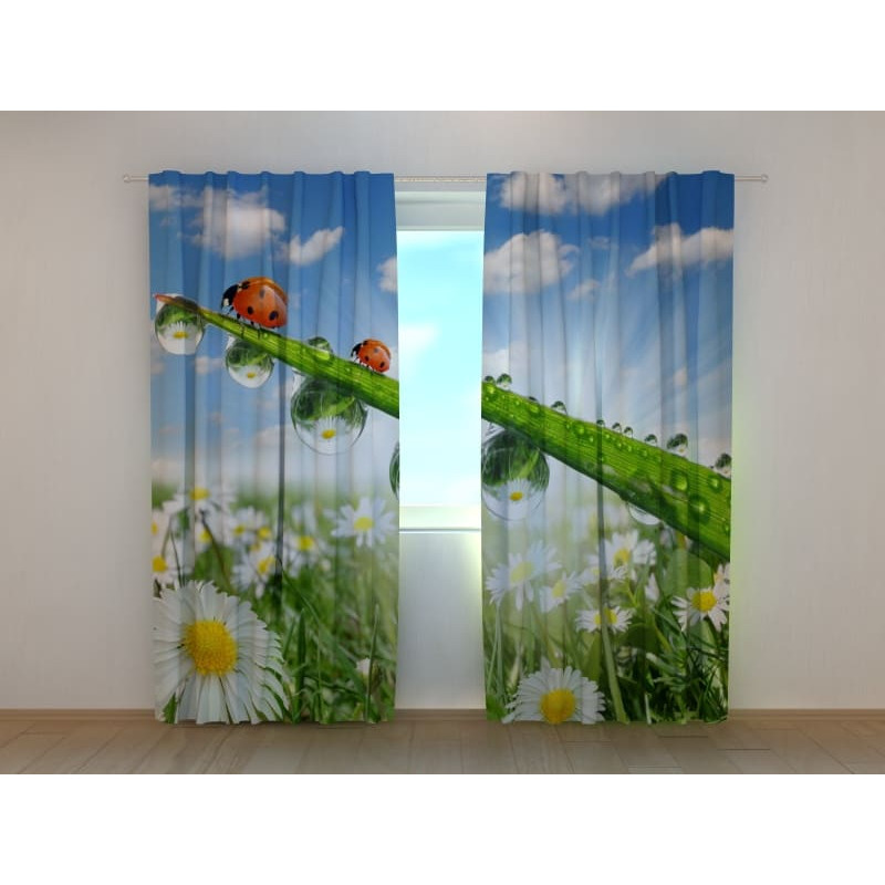 0,00 €Rideau personnalisé - avec des coccinelles et des fleurs