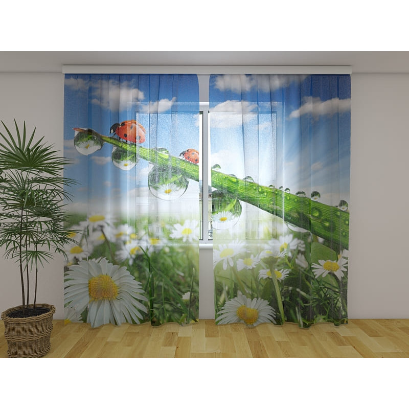 0,00 € Personalisierter Vorhang – mit Marienkäfern und Blumen 0,00 € Personalisierter Vorhang – mit Marienkäfern und Blumen
