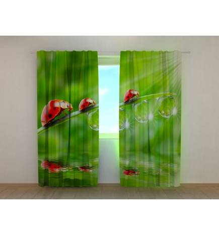 0,00 € Custom curtain - with ladybugs in the greenery