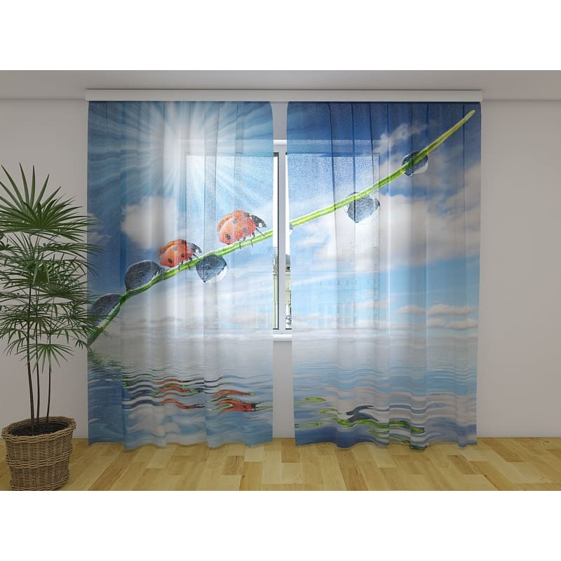 0,00 €Tenda personalizada - com joaninhas