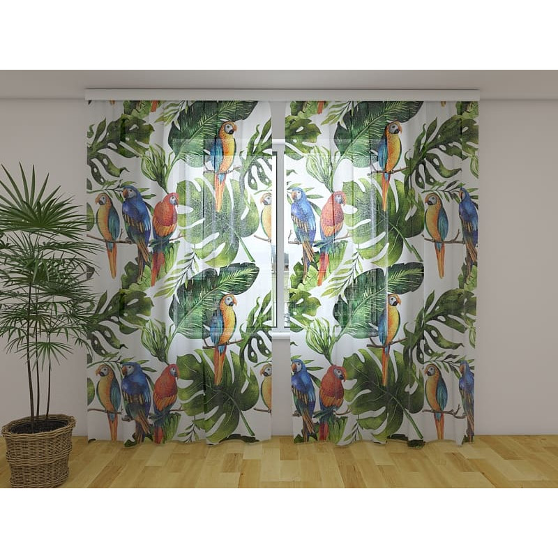 0,00 € Pasūtījuma telts - ar papagaiļiem palmās 0,00 € Pasūtījuma telts - ar papagaiļiem palmās