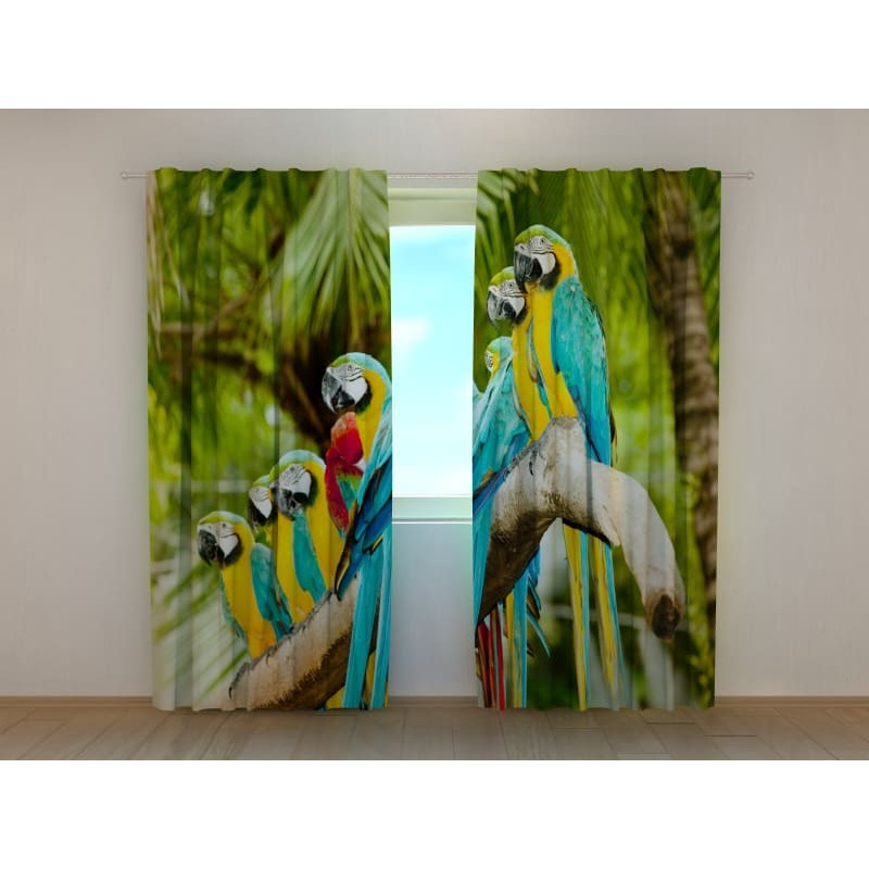 0,00 € Kohandatud telk – papagoid korterelamute kokkutulekul
