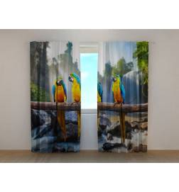 0,00 € Cort personalizat - cu trei papagali bârfitori