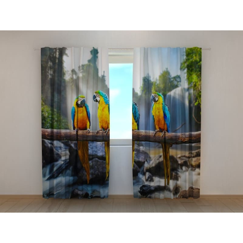 0,00 € Carpa personalizada - con tres loros chismosos