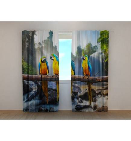 0,00 € Carpa personalizada - con tres loros chismosos