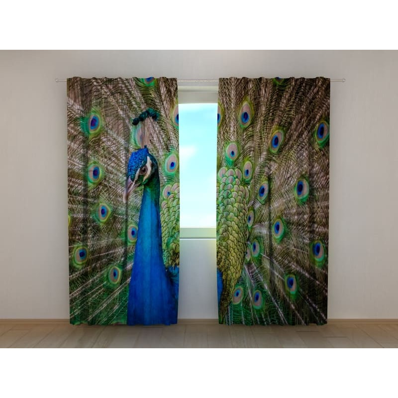 0,00 € Maßgeschneiderter Vorhang – Pfau präsentiert sich seinen Fans
