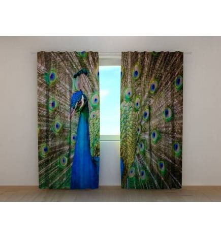 0,00 €Cortina personalizada - pavão se exibindo para seus fãs