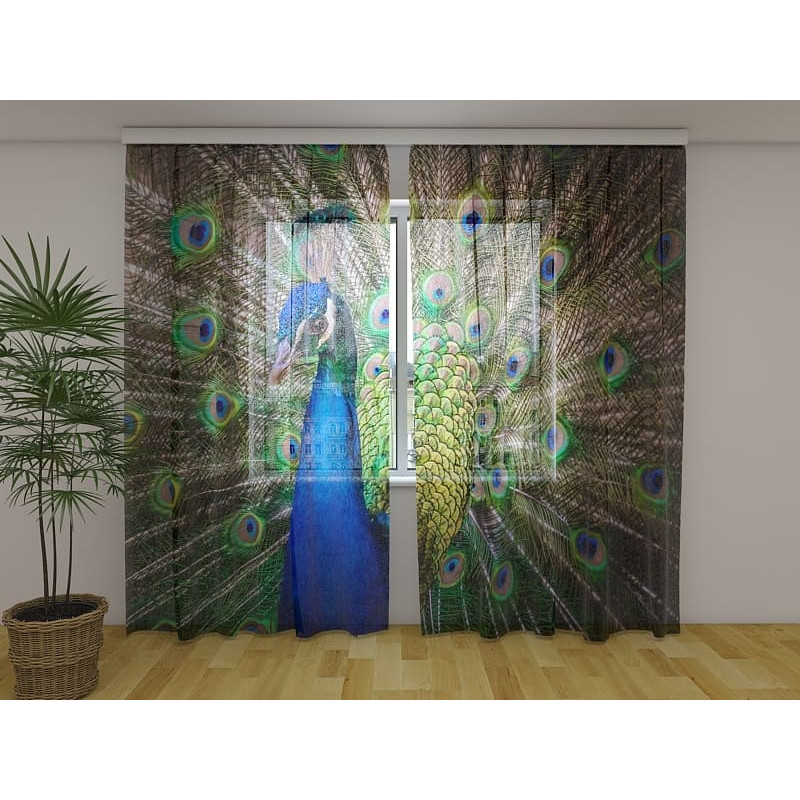 0,00 € Pielāgots aizkars — pāvs, kas izrādās saviem faniem 0,00 € Pielāgots aizkars — pāvs, kas izrādās saviem faniem
