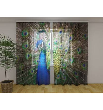 Cortina personalizada - pavão se exibindo para seus fãs
