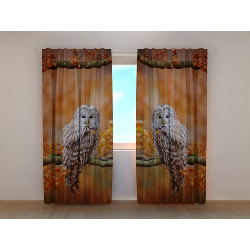 0,00 € Custom tent - with owls on the branch