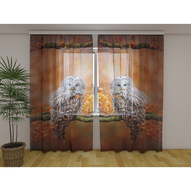 0,00 € Custom tent - with owls on the branch