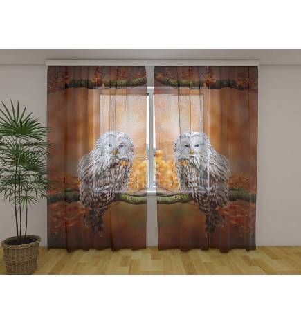 Tellimustelk – öökullidega oksal