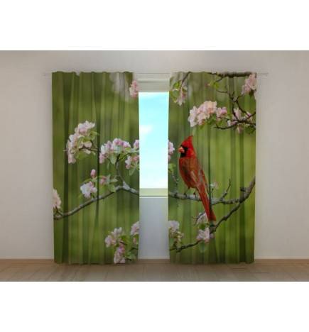 0,00 € Palapinė pagal užsakymą – su kardinolu ant šakos