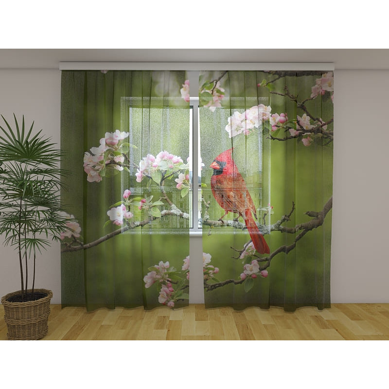 1,00 €Tenda personalizzata - con cardinale sul ramo