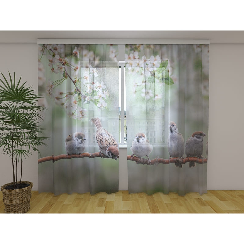 0,00 € Tellimustelk - lindudega oksal