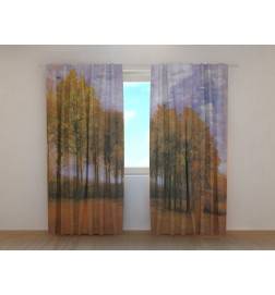 0,00 € Custom curtain - Van Gogh - autumn landscape