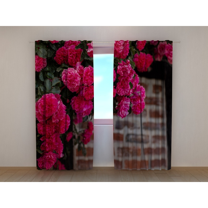 1,00 €Tenda personalizzata - con le peonie sul muro