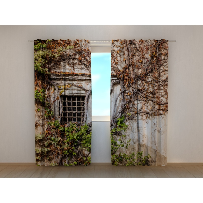 0,00 € Carpa personalizada - para presos 0,00 € Carpa personalizada - para presos