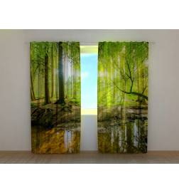 1,00 € Pielāgota telts - dīķis mežā