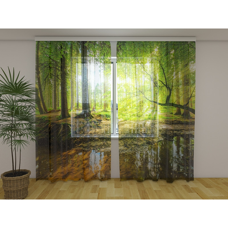 1,00 € Maßgeschneidertes Zelt – Der Teich im Wald