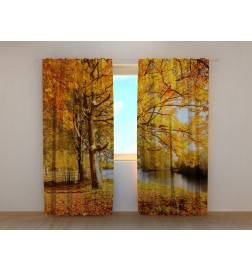 1,00 € Šotor po meri - Potok v drevesih