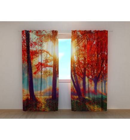 1,00 € Carpa personalizada - Con un río en el bosque rojo