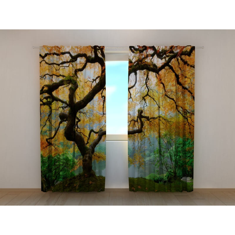 1,00 € Carpa personalizada - con un arroyo japonés